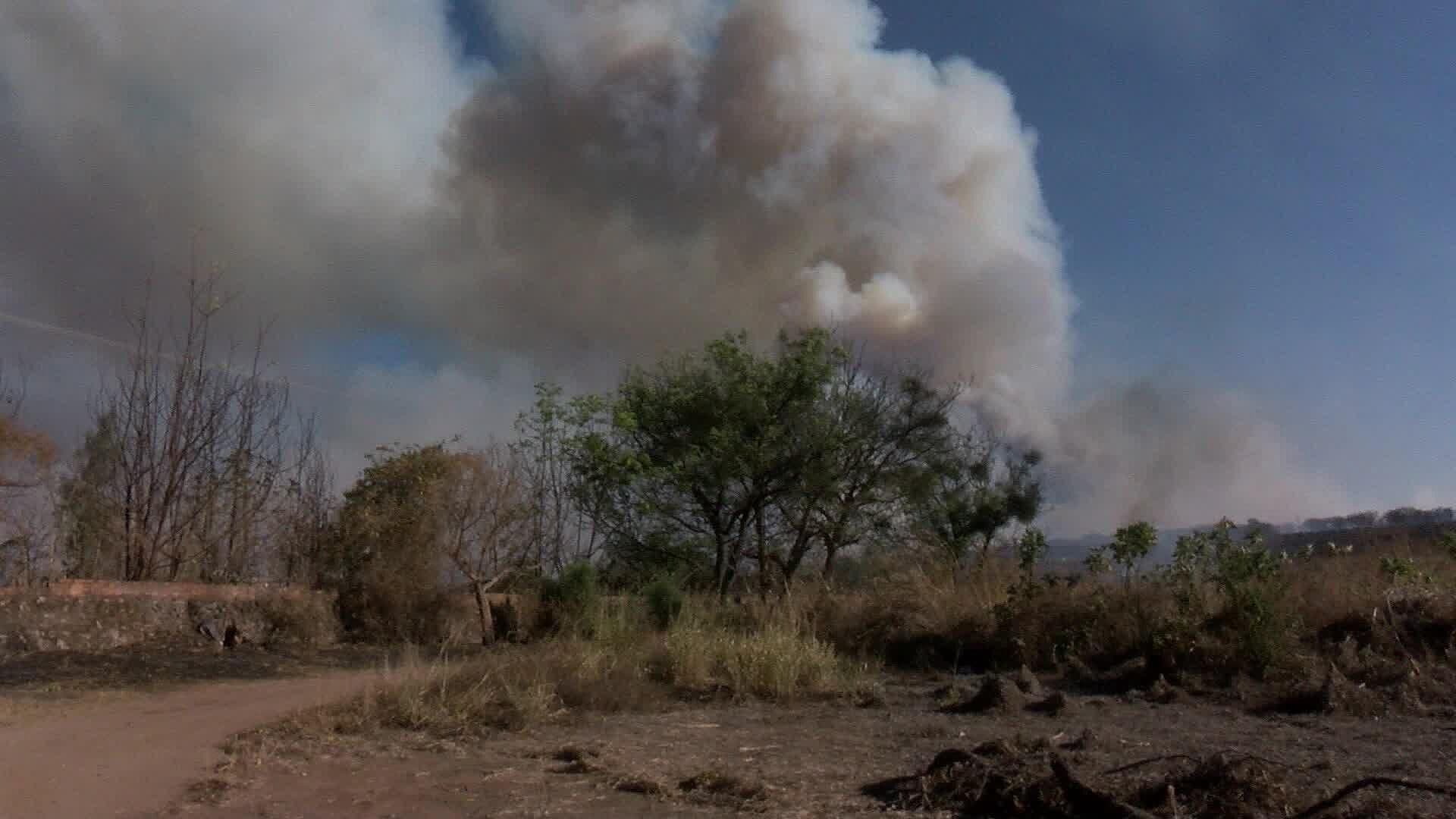 Apagan Incendio Forestal en el Bosque La Primavera