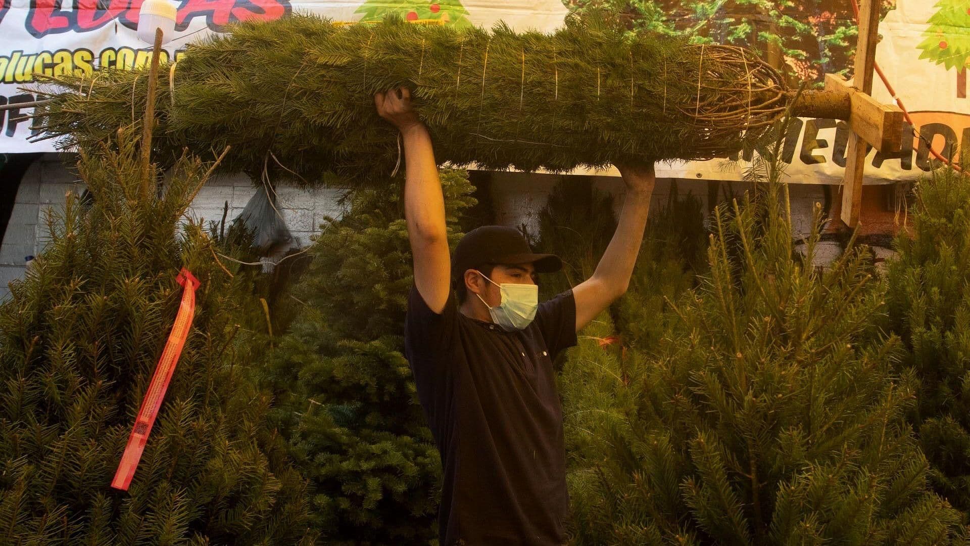 Venta de Árboles de Navidad en Mercado de Jamaica, CDMX