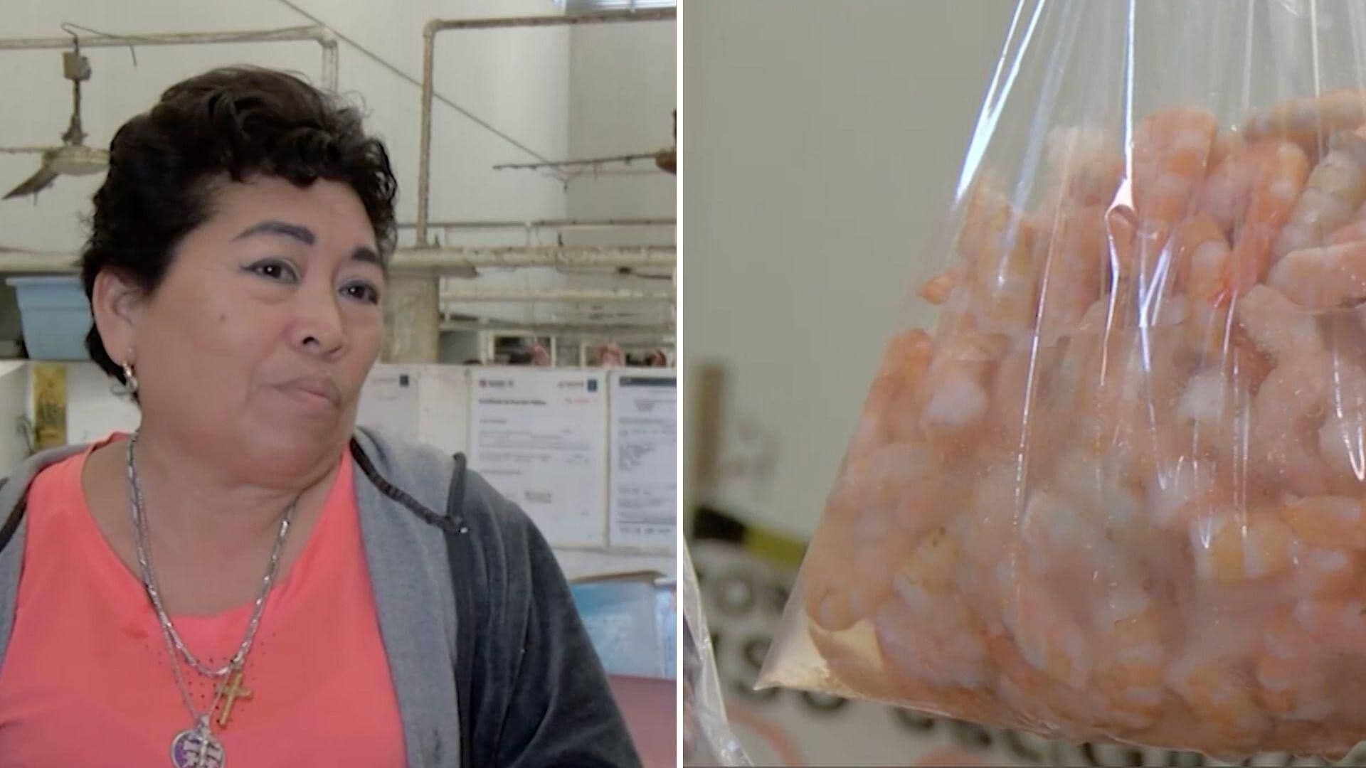 Se Registra un Aumento en el Precio de los Mariscos por Temporada Vacacional en Progreso