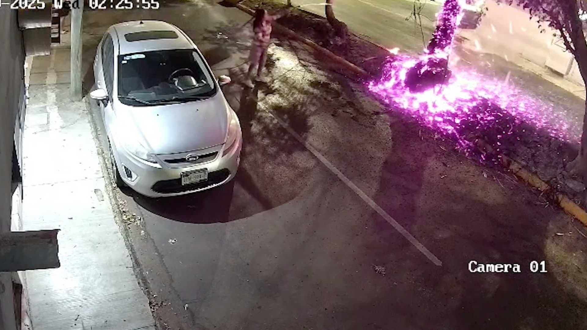 Sospechoso Quema Palmera en la Colonia Azteca y Bomberos Nunca Llegaron a Sofocar Incendio
