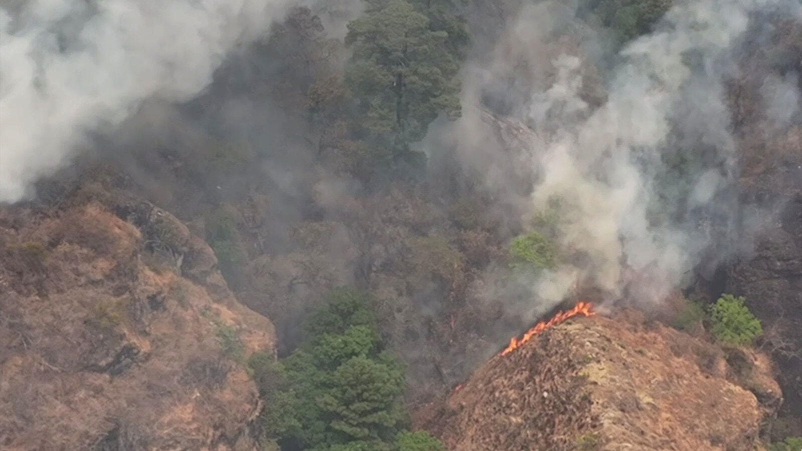 Brigadas Luchan por Sofocar Incendio en el Tepozteco, Morelos