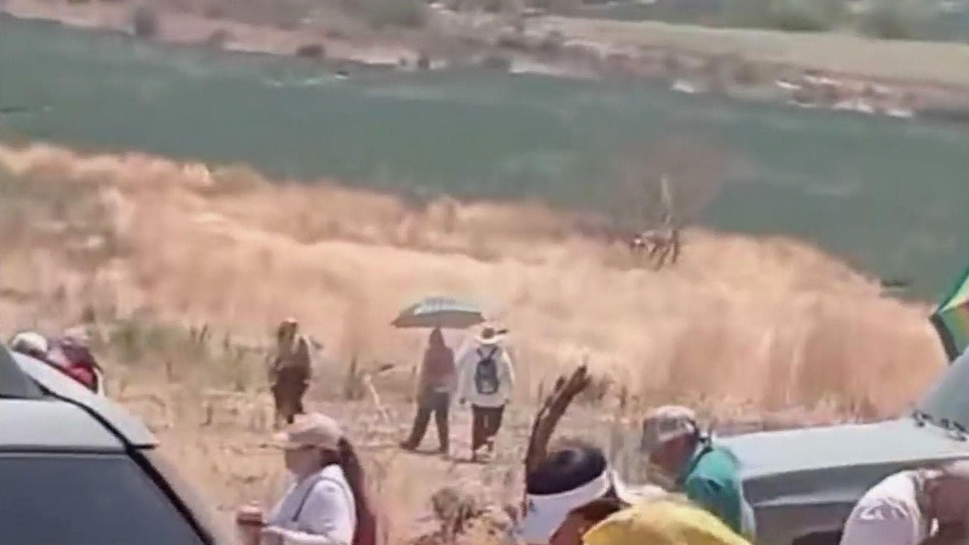 Captan Ataque de Abejas durante Viacrucis en Poncitlán, Jalisco