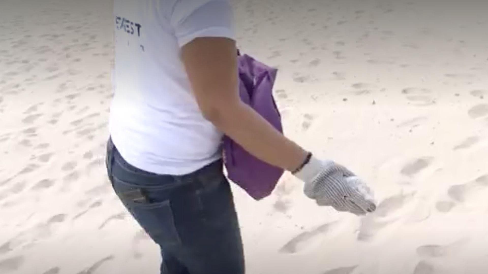 Estas Serán las Próximas Jornadas de Limpieza en Playas Yucatecas
