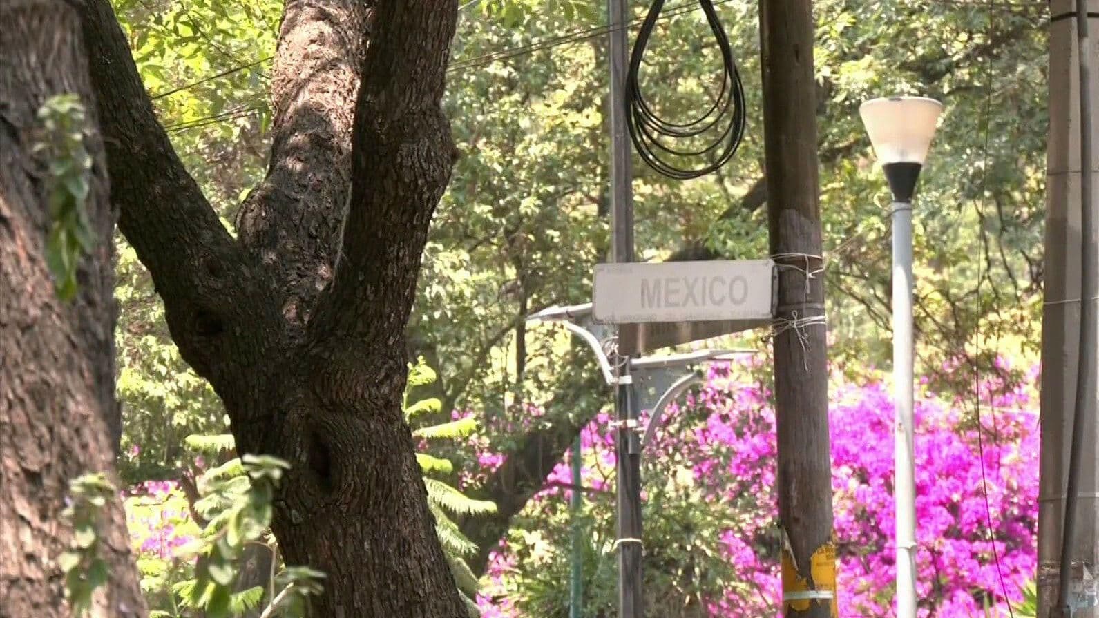 Se "Pierden" Nomenclaturas en la Colonia Condesa, CDMX