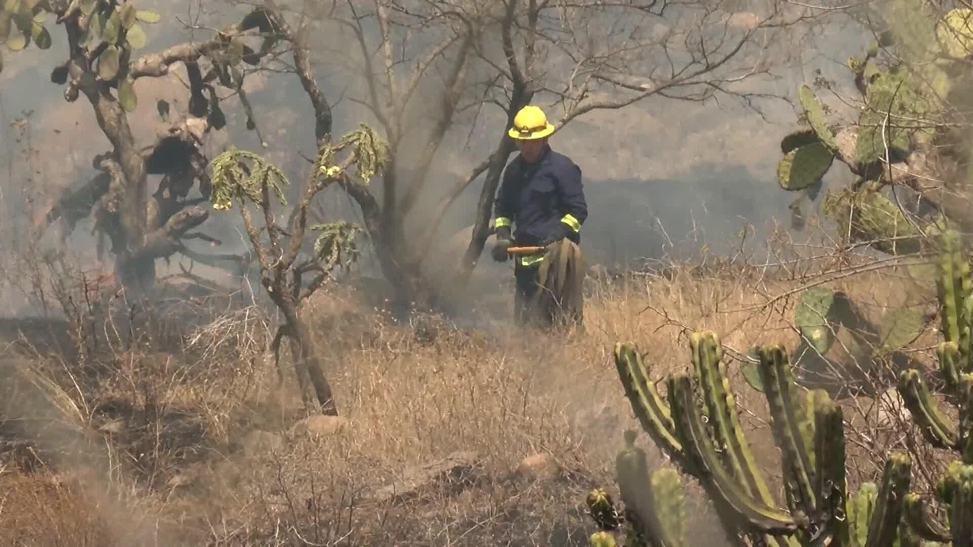 Se Han Registrado Más de 10 Incendios en Tolimán, Querétaro por Temporada de Estiaje