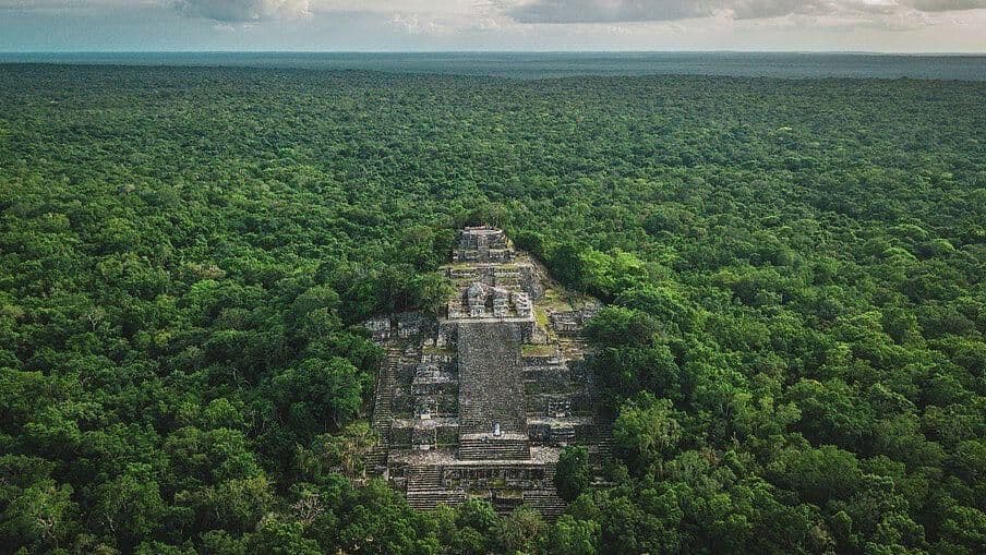 Trabajan por Preservación de Zona Selvática de Calakmul