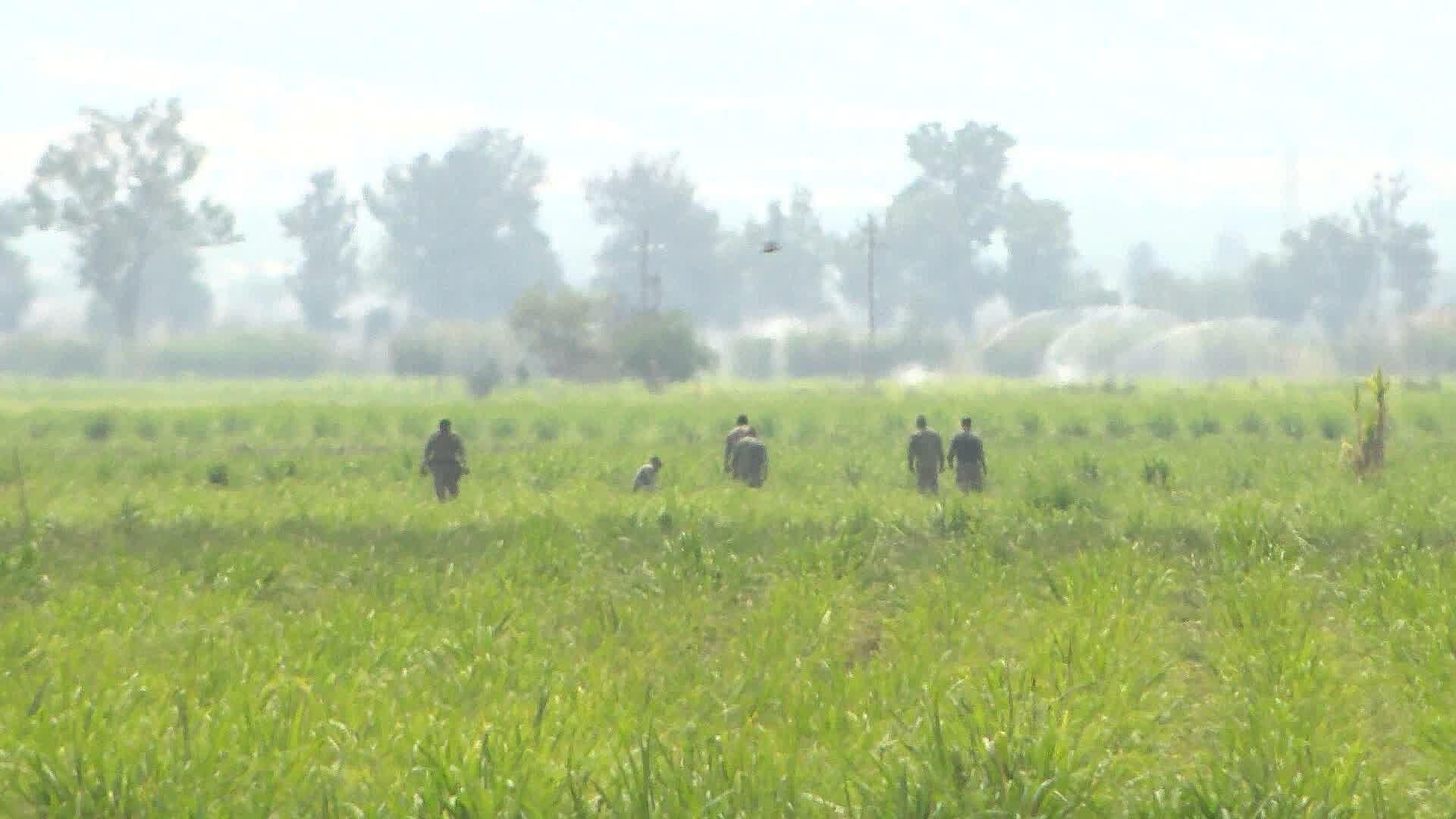Descubren Punto de Huachicoleo Clandestino en Rancho de Tala; Hay 3 Detenidos