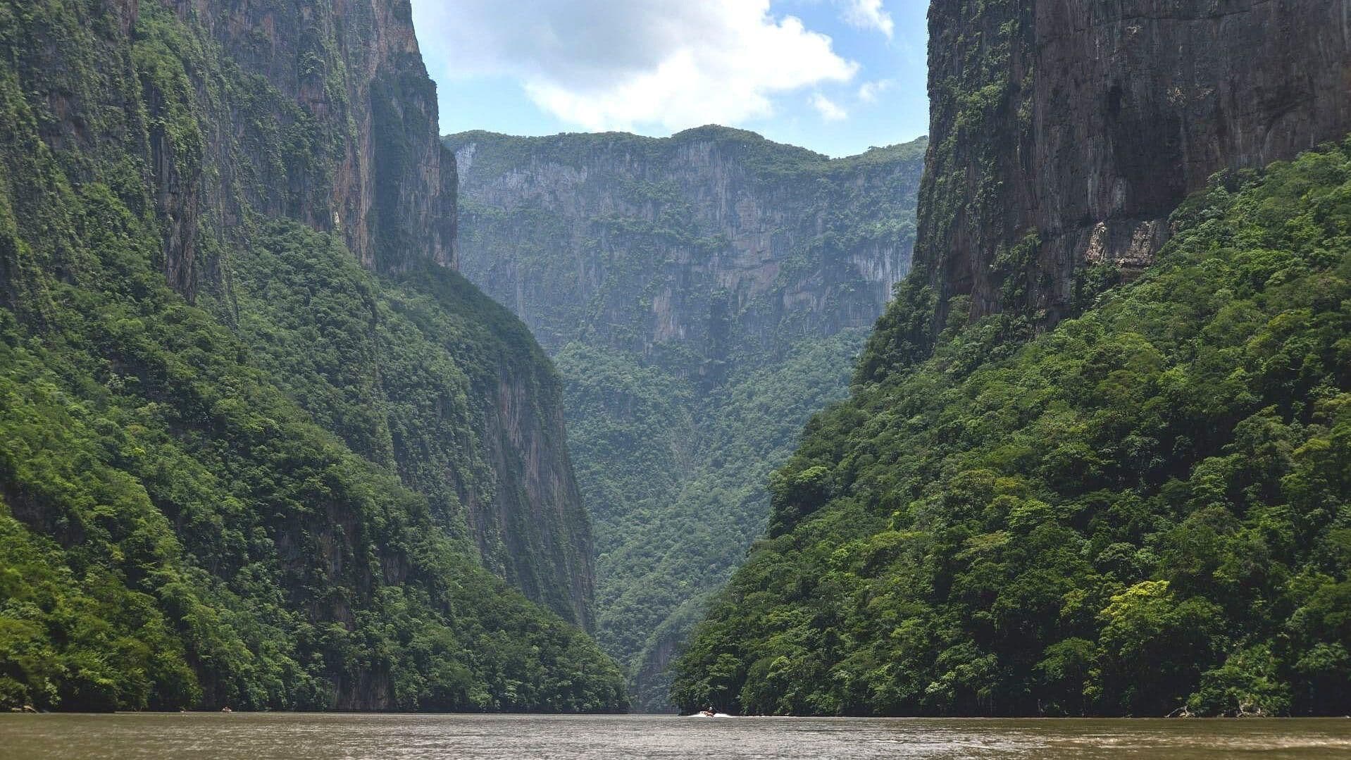 Cañón del Sumidero, Refugio de la Biodiversidad