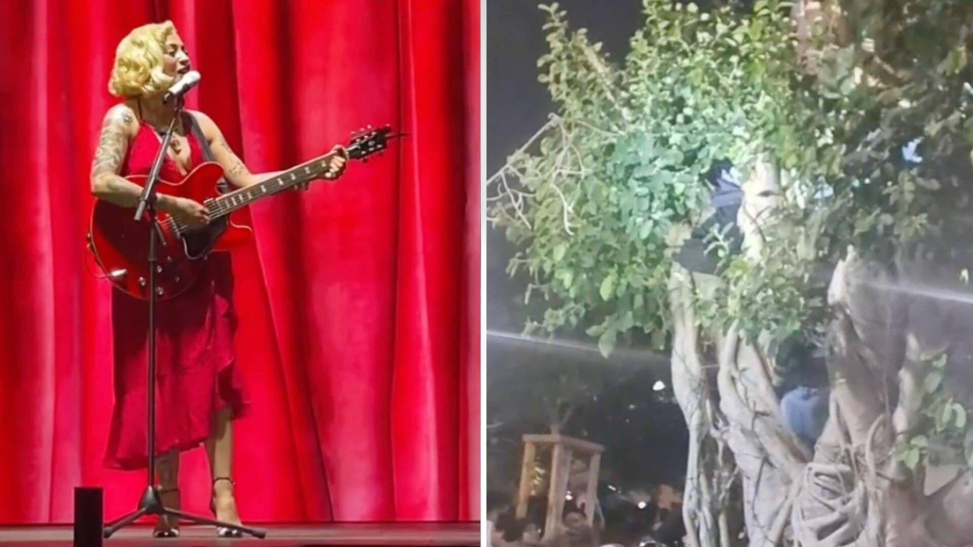Asistentes se Suben a los Árboles de Plaza Grande para Mejor Vista en Concierto de Mon Laferte