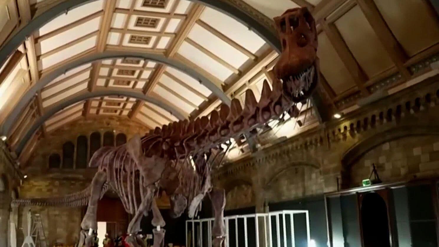 Londres Exhibe Fósil Hallado en la Patagonia