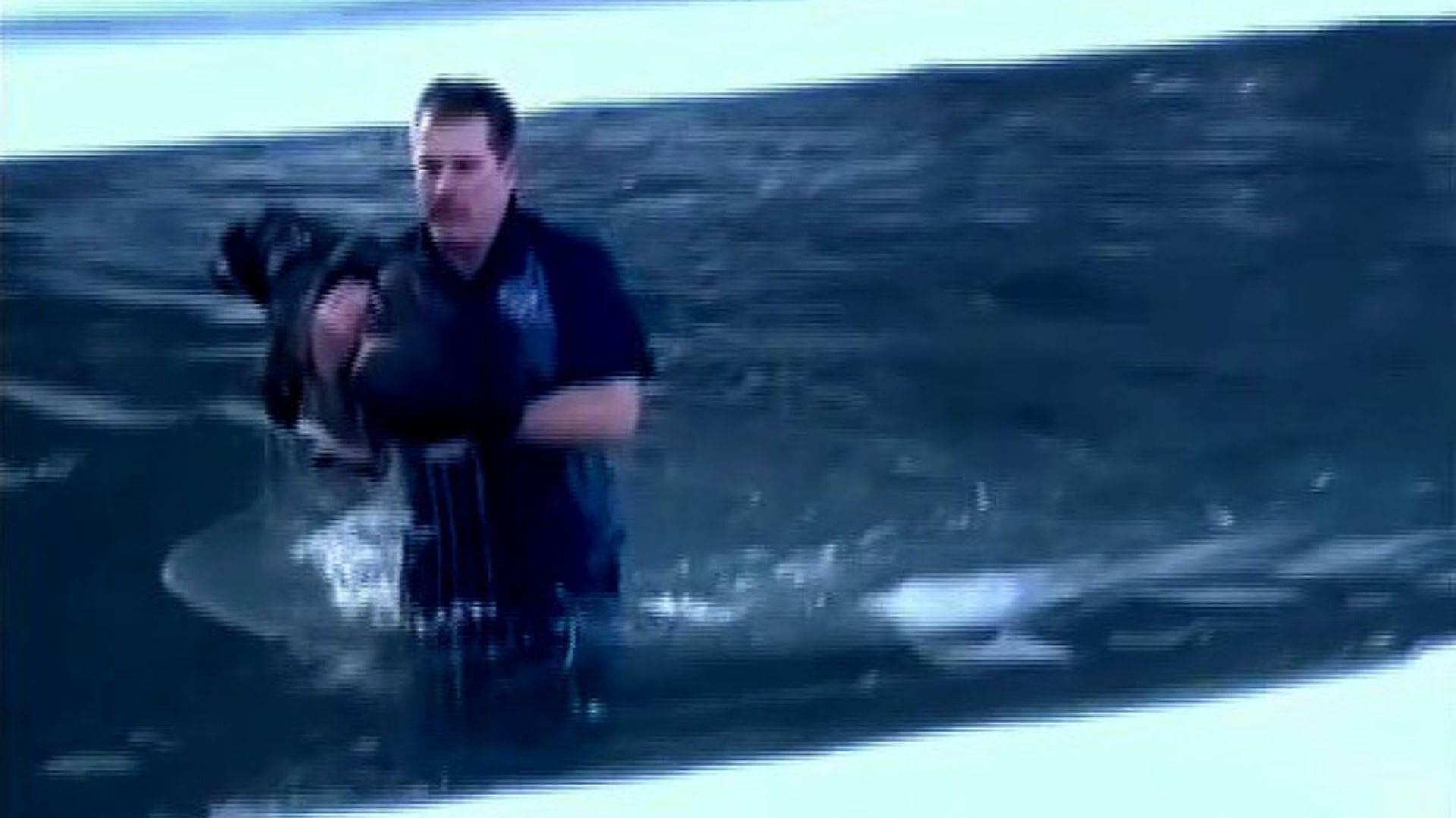 Pareja Rescata Perrito Caído en Río Congelado en Vermont, EUA