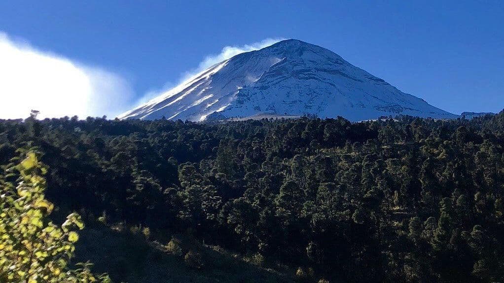 Así Luce Devastado el Parque Nacional Izta-Popo por Talamontes