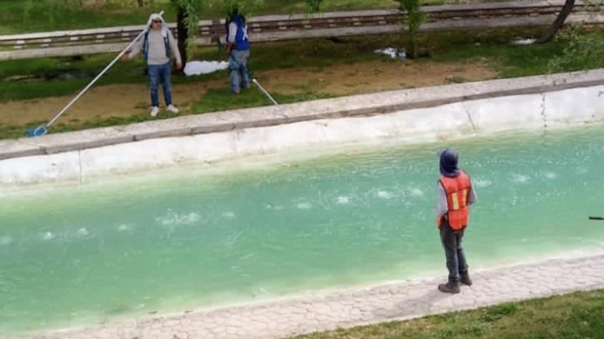 Sujetos Dañan el Lago del Bosque Urbano; Pagarán Multa de 5 Mil Pesos