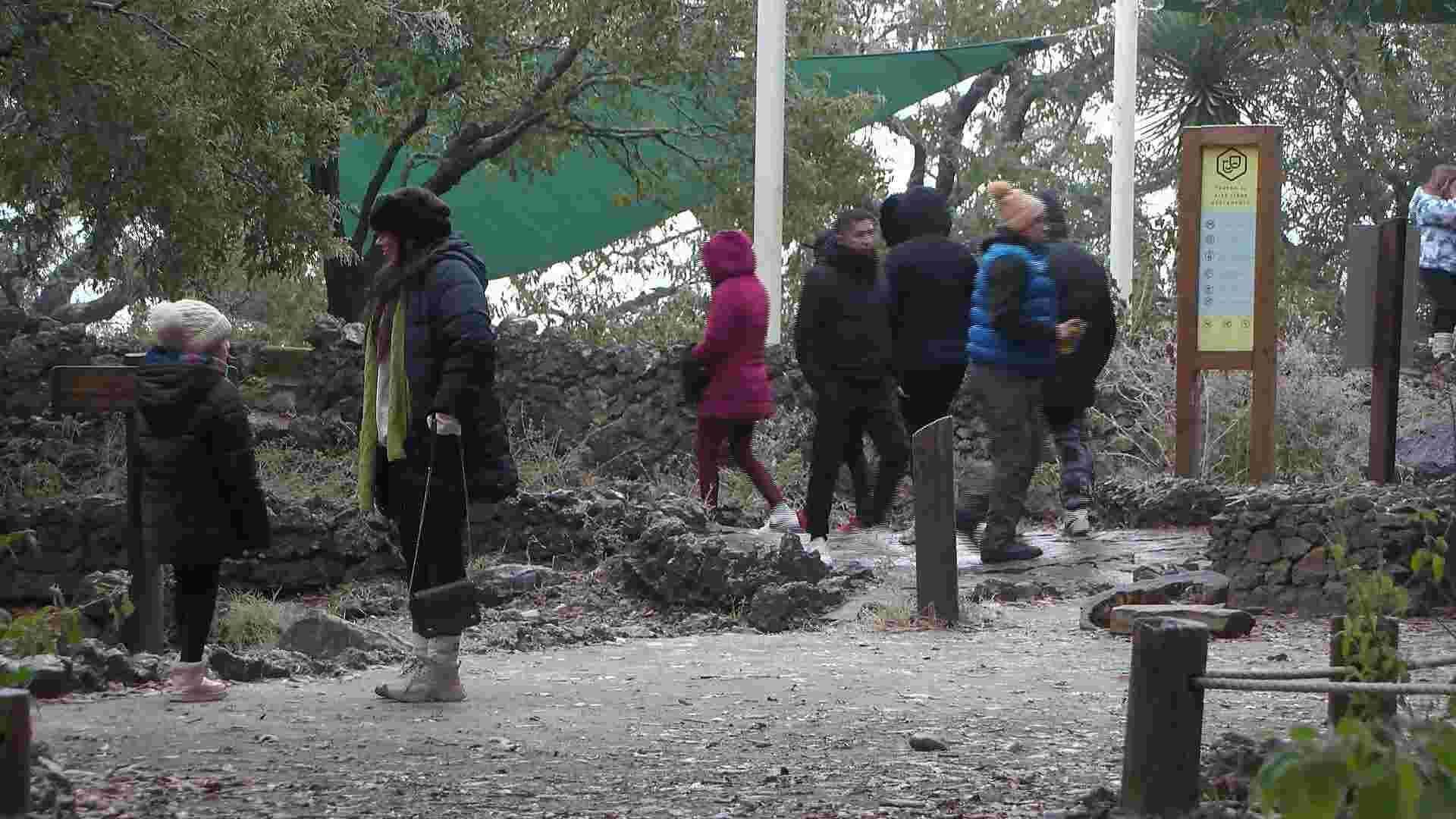 Cae Aguanieve en Chipinque San Pedro
