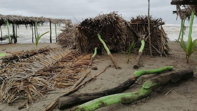 Fuertes Vientos Destruyen Palapas en Tecolutla, Veracruz