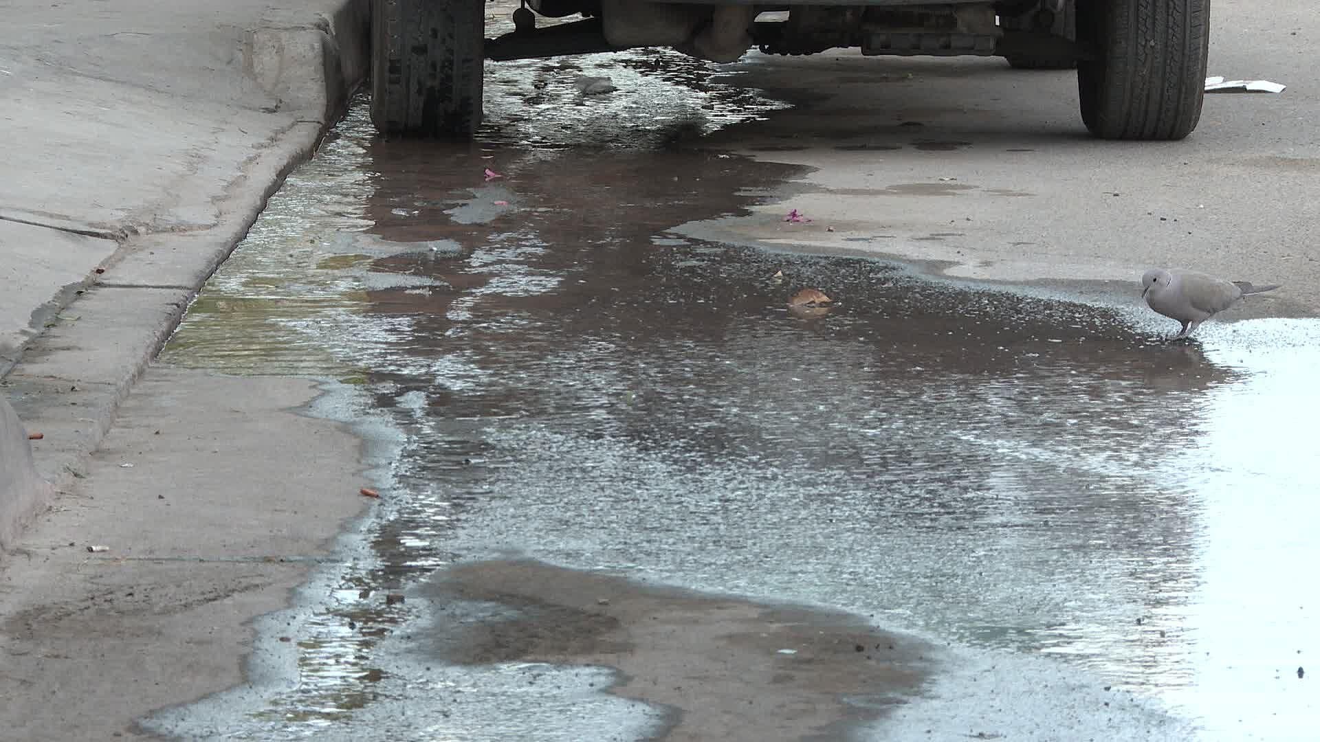 Vecinos Reportan Fuga de Agua Limpia en Colonia Lomas de Madrid
