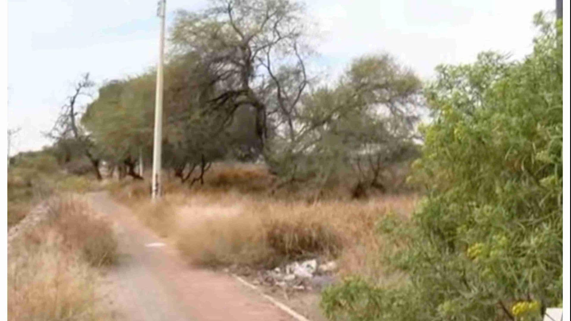 Vecinos de la colonia León I, Sufren de Robos en el Camino de Arroyo de los Naranjos