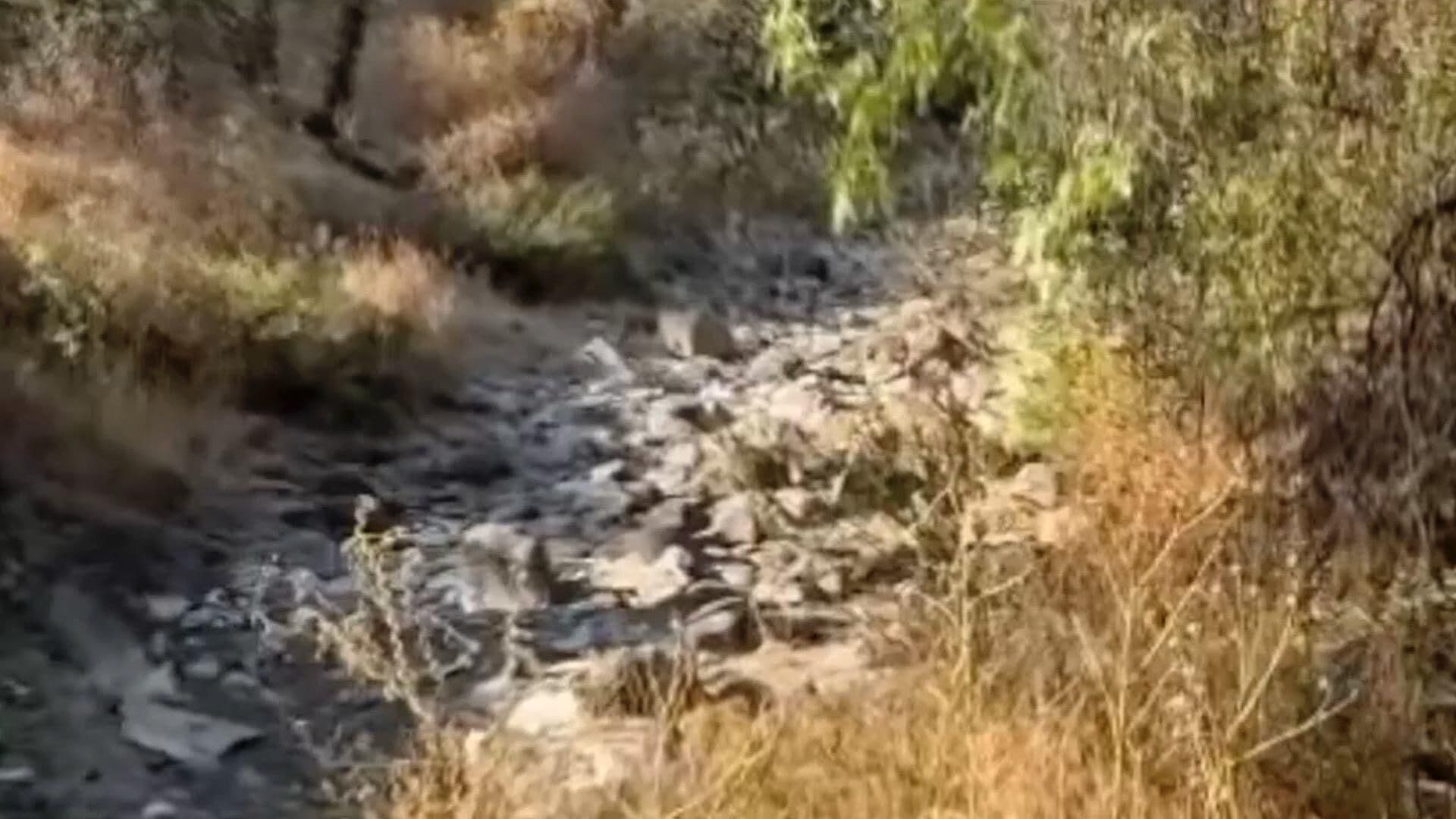 Habitantes de La Patilla, Batallan al Quedarse Sin Agua en el Río