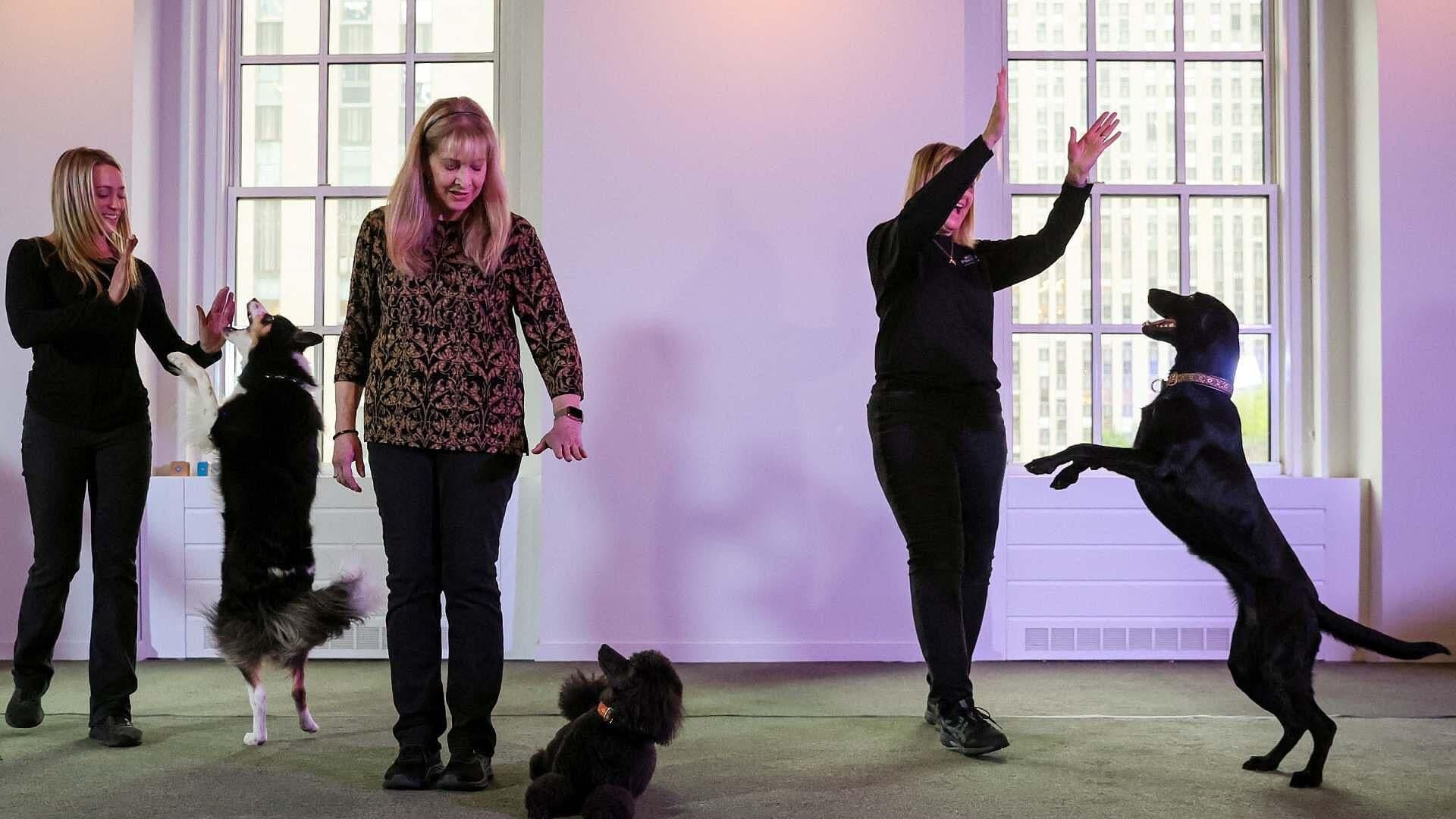 Todo Listo Para la Exposición Canina de Westminster en NY