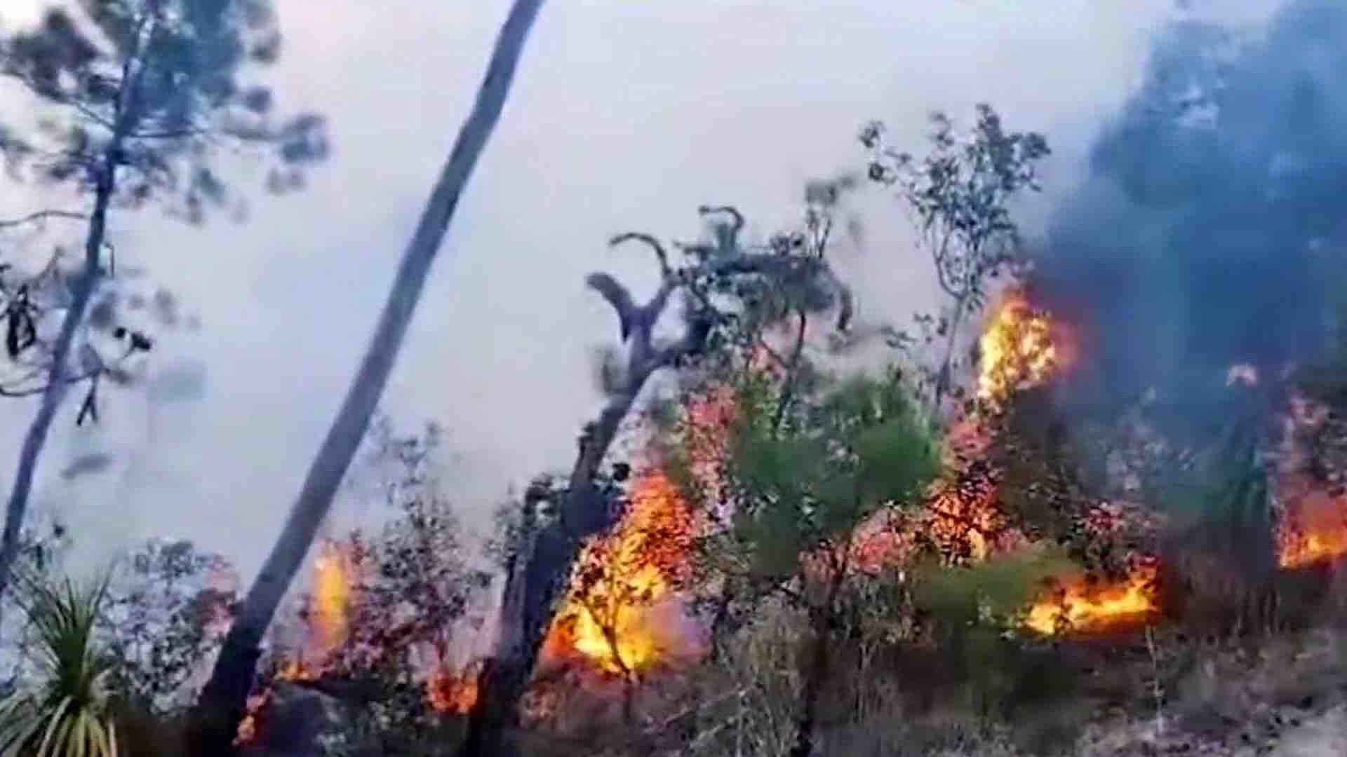 Tres Helicópteros se Suman a Combate del Incendio en Mitla y Valle de Tlacolula, en Oaxaca