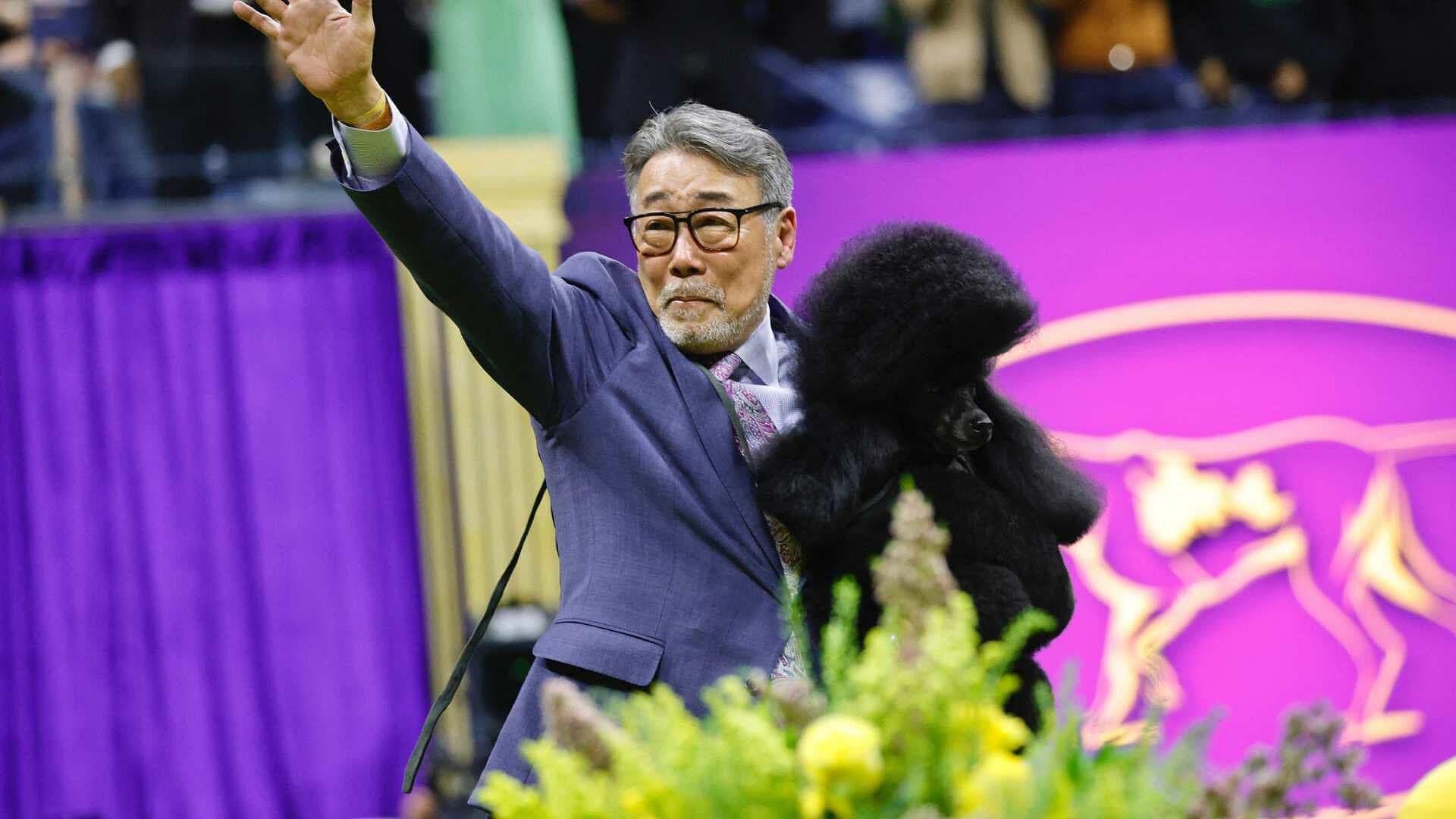 Westminster Kennel Club Dog Show, la Exposición Canina Más Prestigiosa