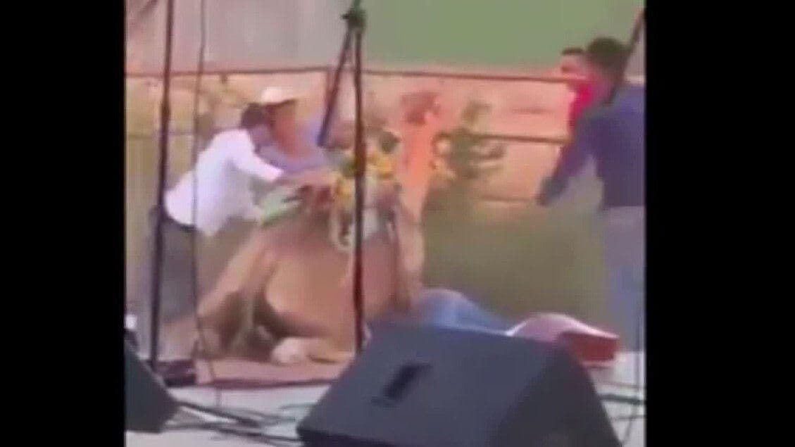 Golpean Camello en un Restaurante de Amatitán