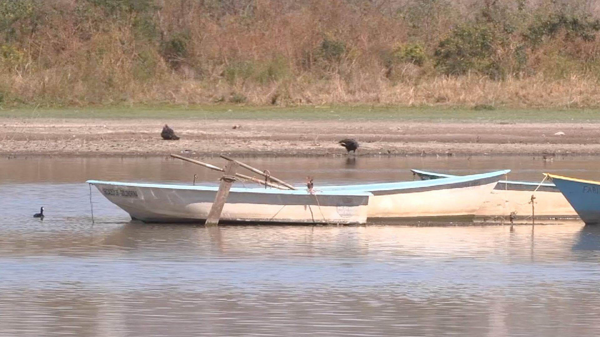 Presa El Palote en León se Encuentra con un 10% de su Nivel
