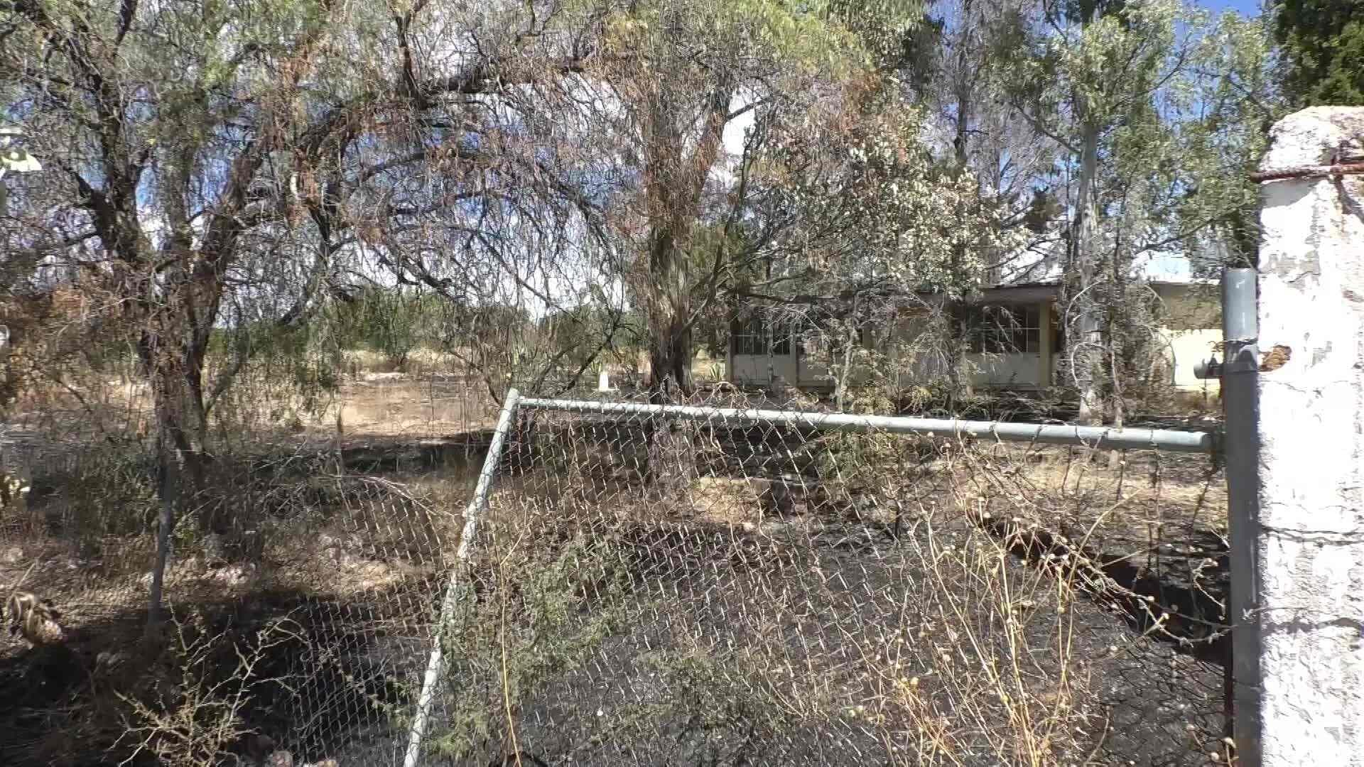 Incendio en Palmillas, Ojocaliente, Deja Afectaciones en Secundaria y Huertas de Nopal