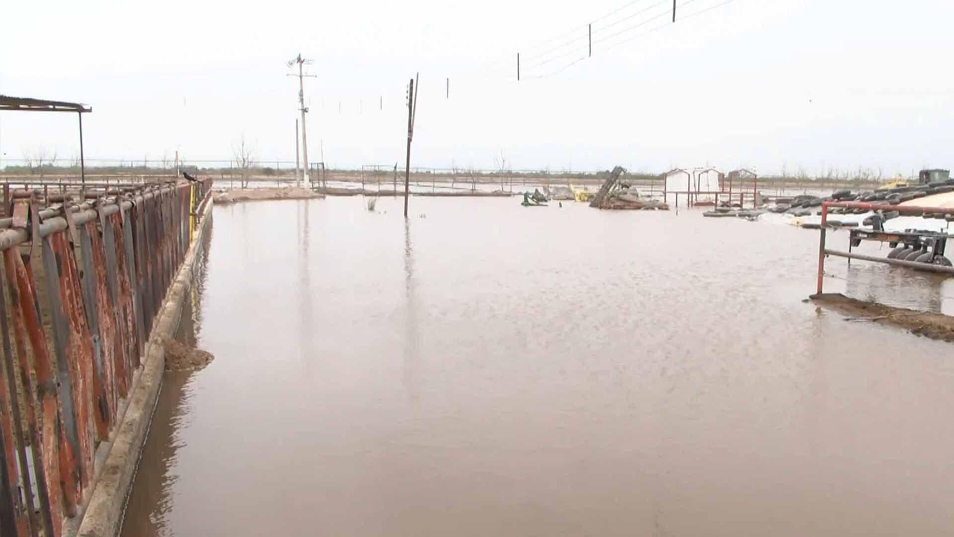 Se Desborda Canal de Riego en Francisco I. Madero
