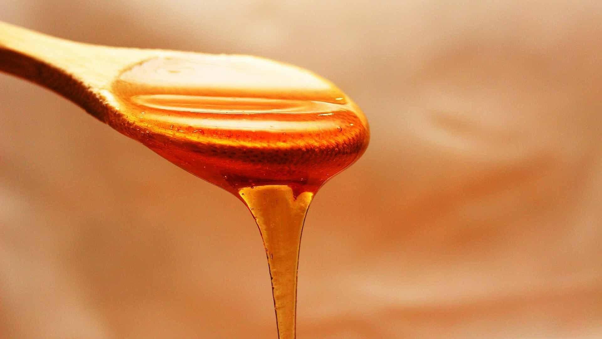 Coatepec y Teolcelo, Principales Productoras de Miel en Veracruz
