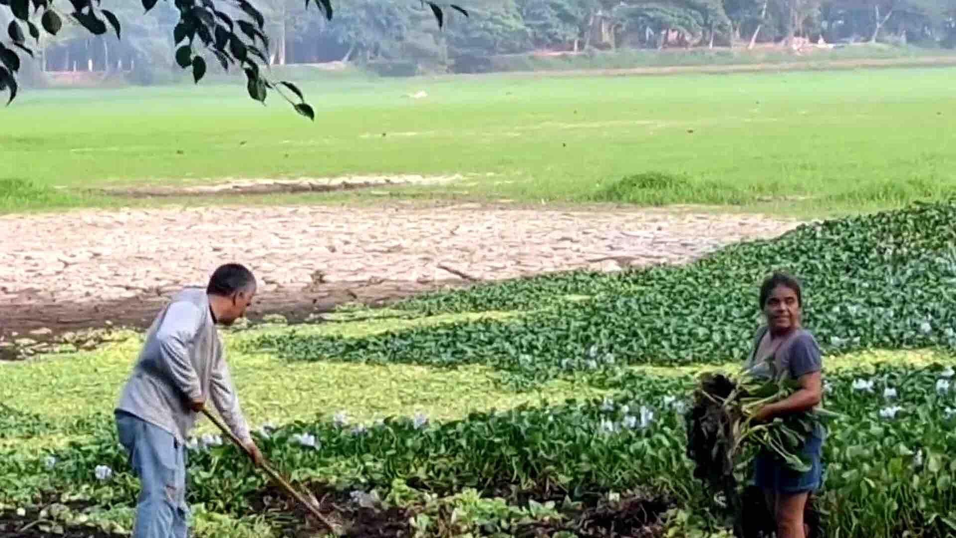 Vecinos de Veracruz Rehabilitan la Laguna Lagartos ante la Sequía