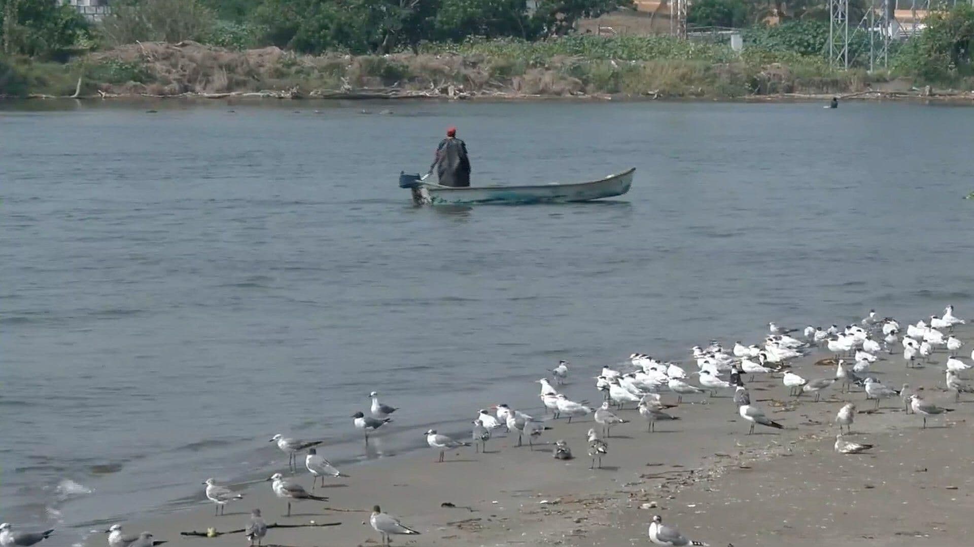 Domo de Calor Afecta a Peces y al Parque Arrecifal Veracruzano