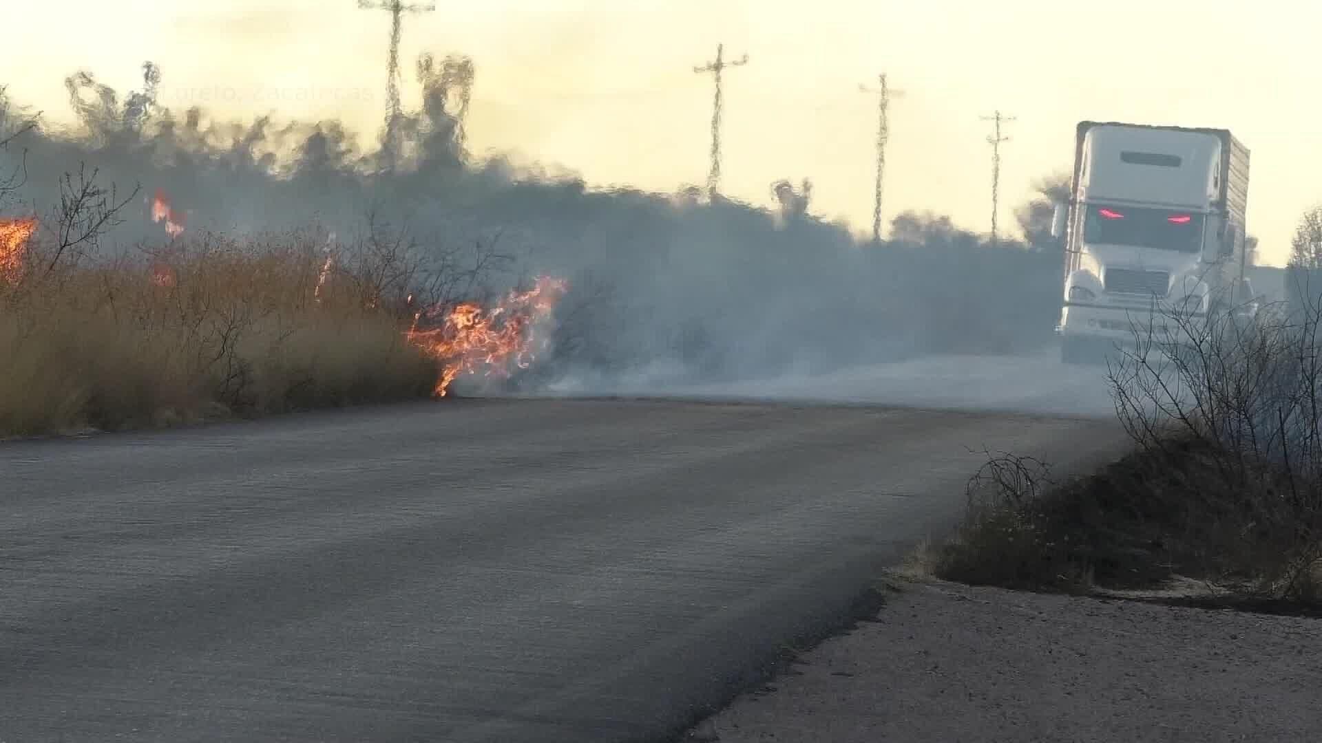 Incendios Forestales Afectan el Campo de Loreto; Consumieron Pastizales y Zona del Bosque