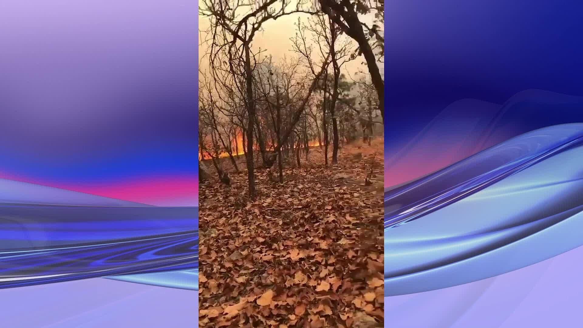 10 Familias Fueron Desalojadas por Incendio Forestal en Amealco, Querétaro