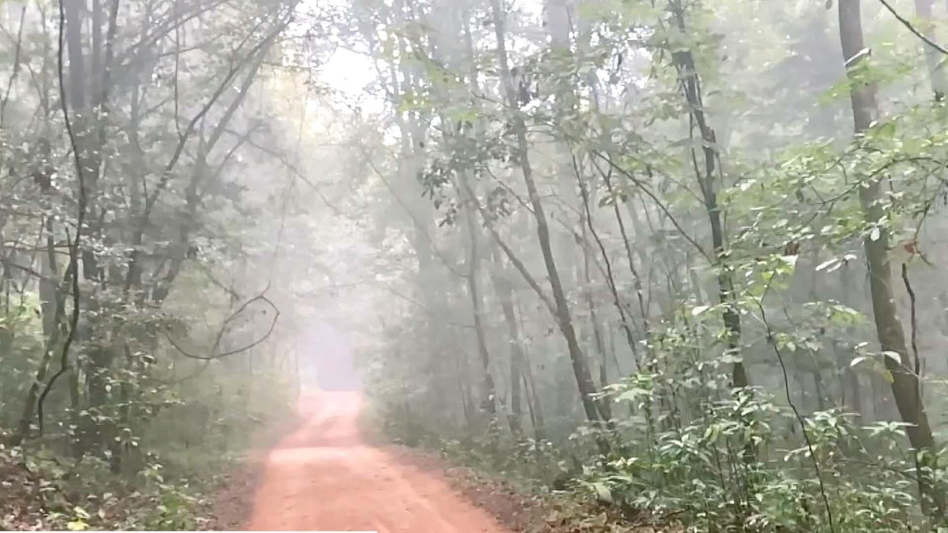Restringen Entrada a Reserva de la Biósfera 'El Cielo'