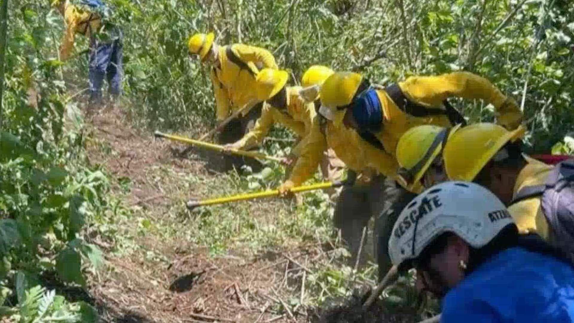 Brigadistas Suspenden Trabajos de Sofocación de Incendio Forestal en Atzacan, Veracruz
