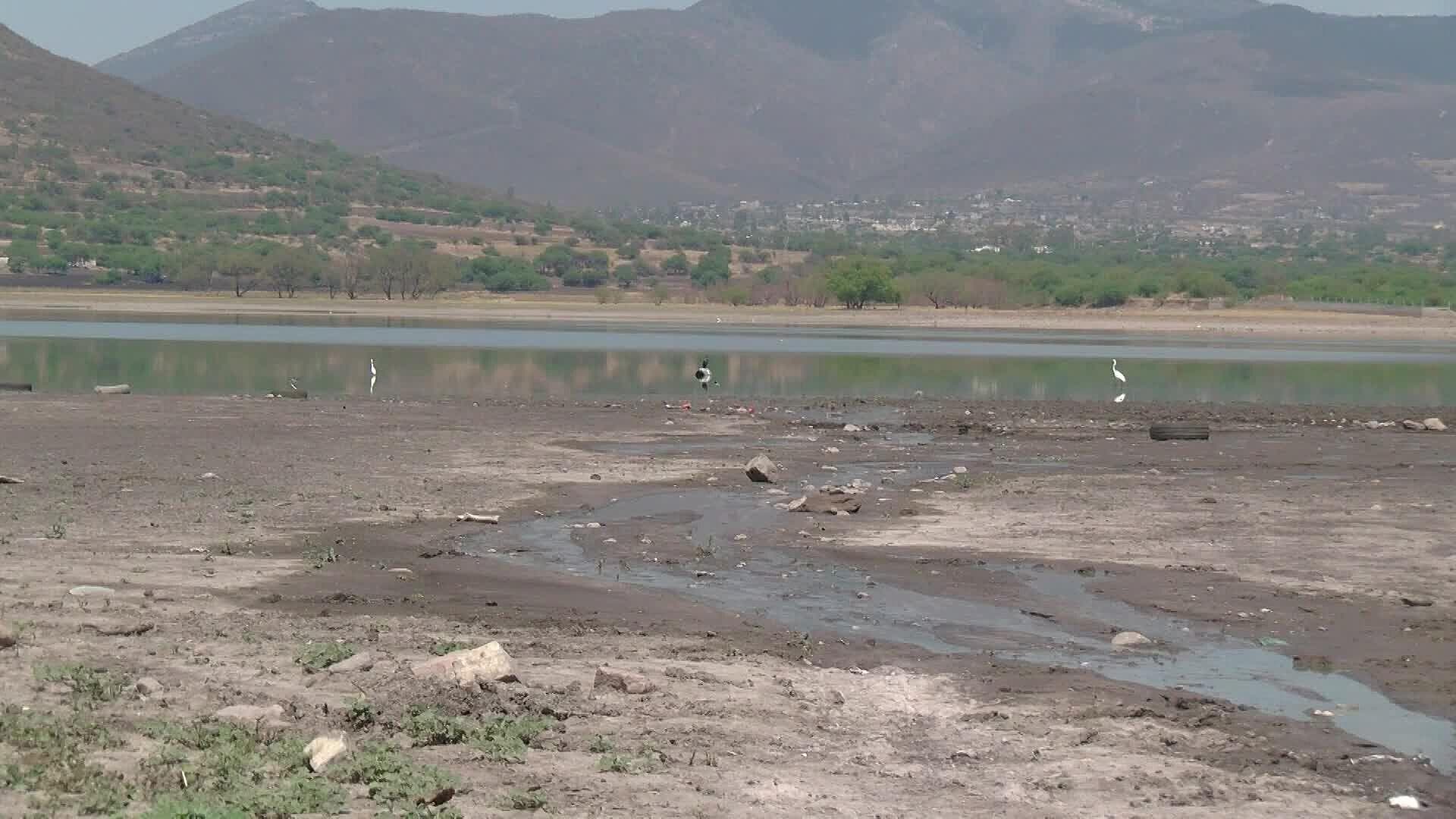 Son Alrededor de 6 Bordos en Ezequiel Montes, Querétaro con Niveles Muy Bajos de Agua