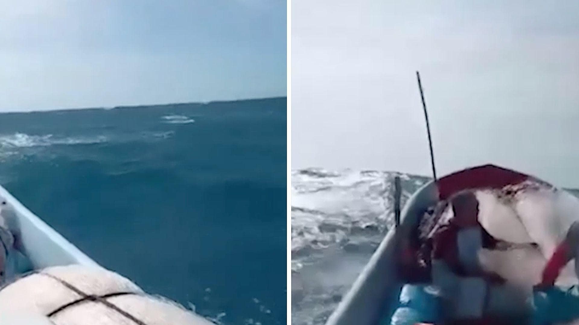 Oleaje Peligrosos por Surada en Alta Mar; Pescadores en Celestún Vivieron Aterradora Experiencia