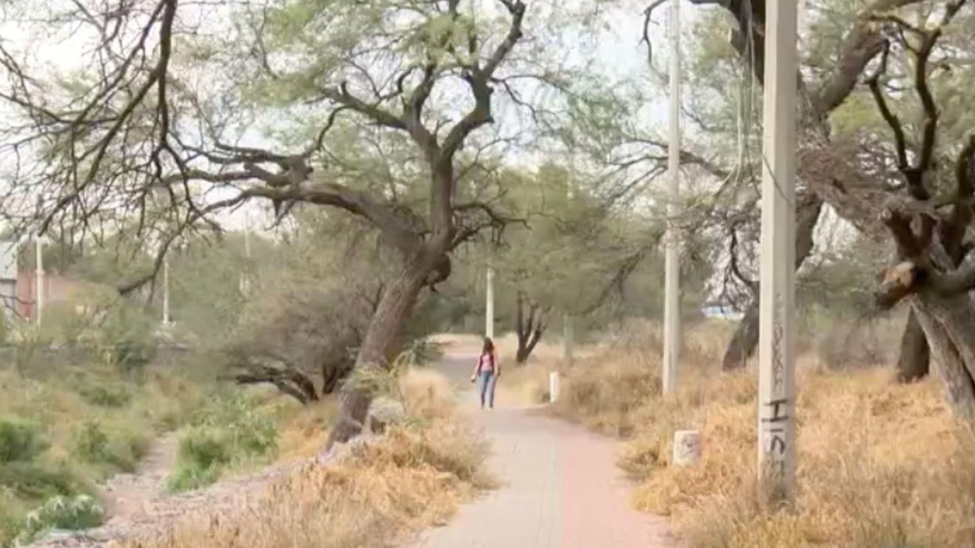 Ya no es Seguro Caminar por Esta Zona Ubicada entre Prado Hermoso y León I