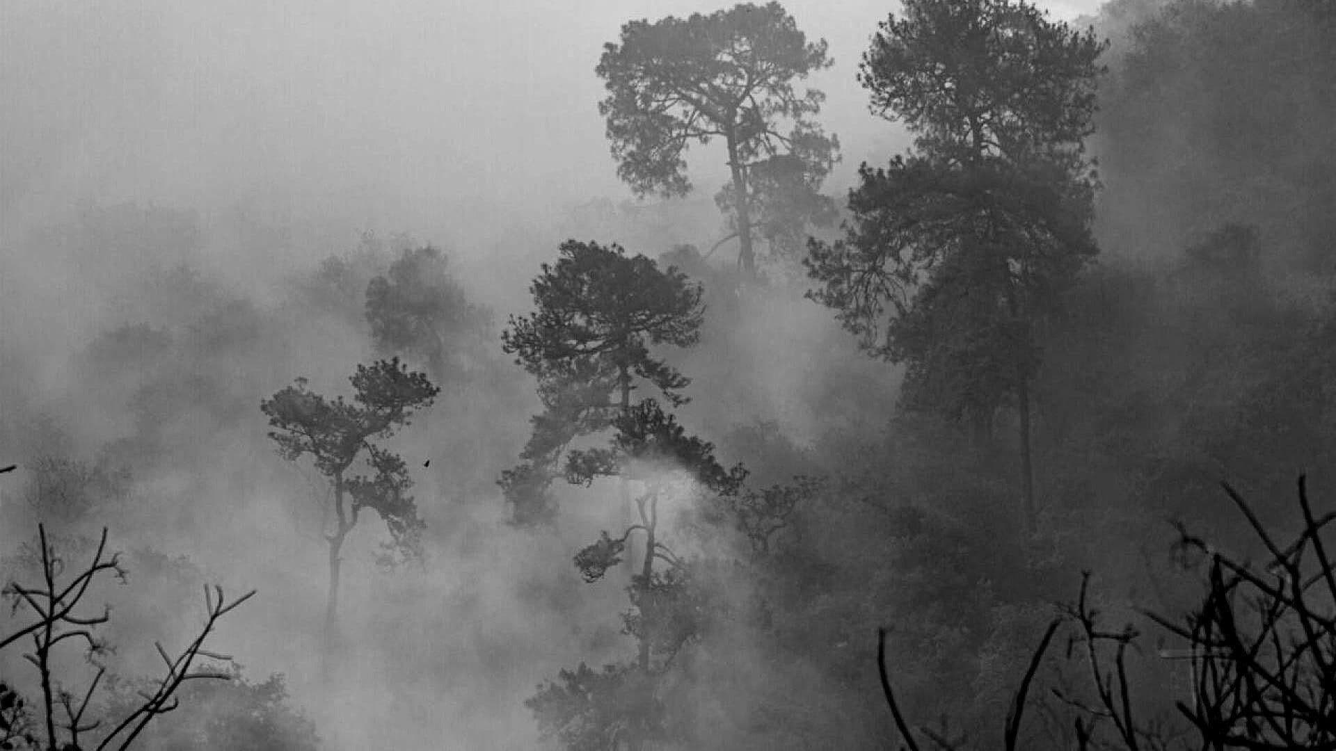 Pobladores de la Sierra en Oaxaca Defienden a sus Familias de Incendio