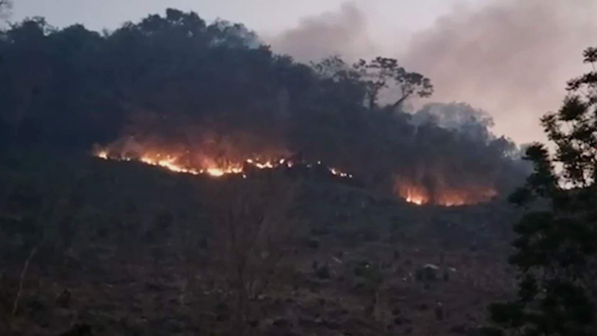 Brigadistas Combaten Dos Incendios Forestales en la Selva Lacandona