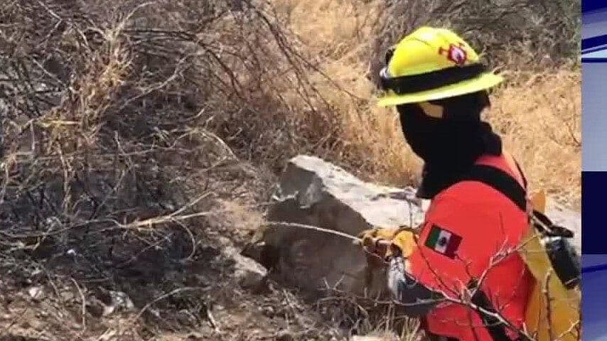 Combaten Incendio Forestal en Cerro Johnson