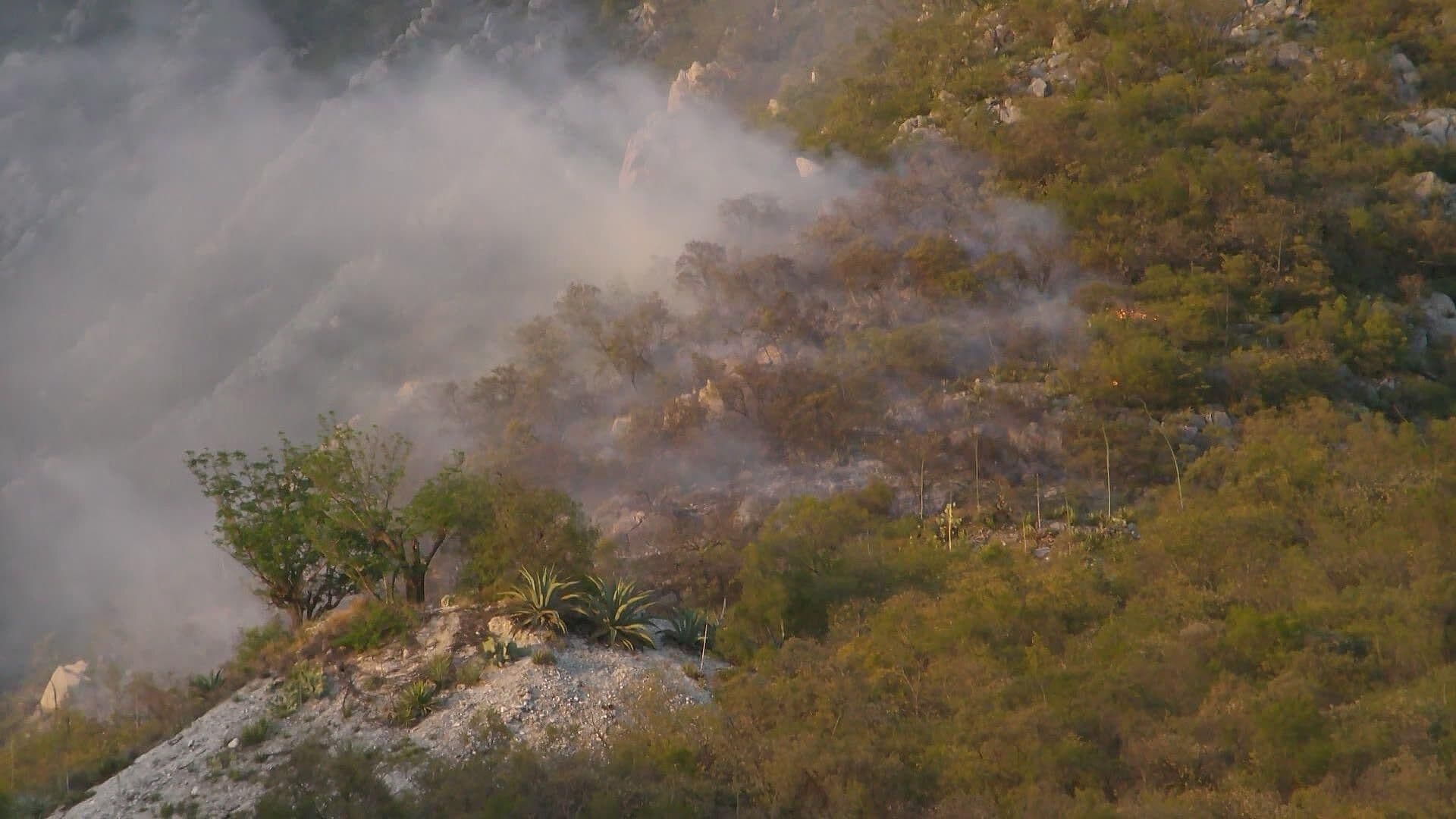 Combaten Incendio Forestal en Yécora