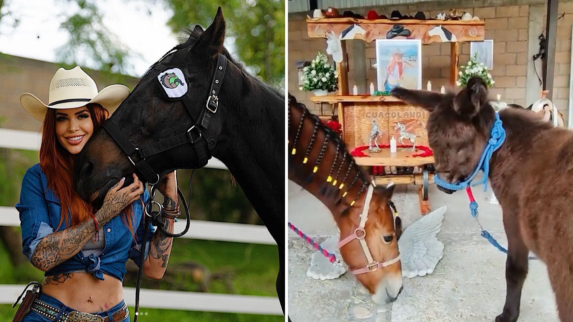 Caballos de Cuacolandia Celebran Cumpleaños de Elena Larrea