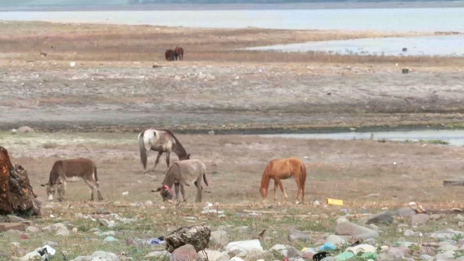 N+ Focus: Presa Endhó, el Fin del Infierno Ambiental en Tula, Hidalgo