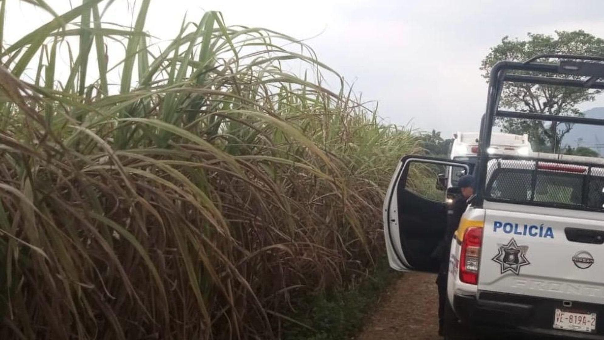 Hallan Cuerpo con Signos de Violencia Abandonado en Cañales de Atzacan, Veracruz