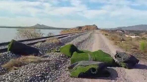 Detienen a Mujer que Robaba Pasto del Campo de La Sauceda