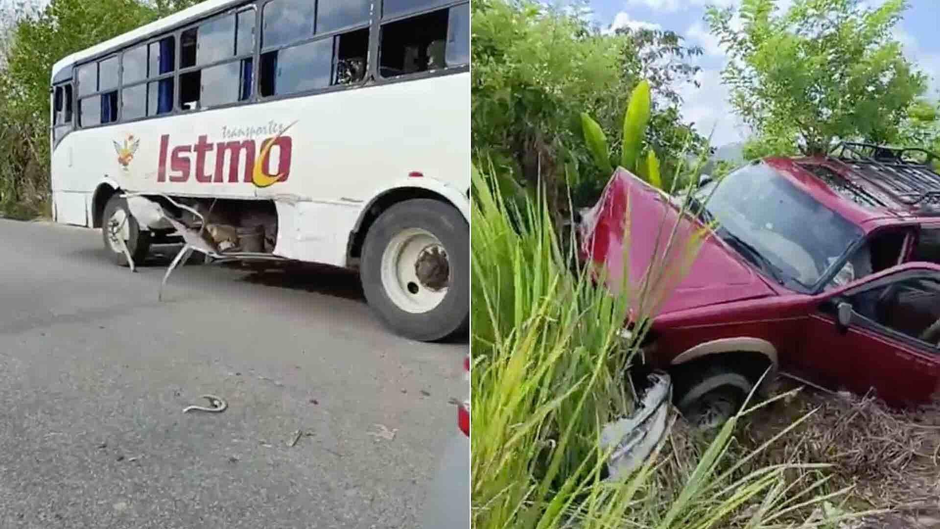 Camioneta Choca Contra Autobús y Termina Entre la Maleza en Moloacán, Veracruz