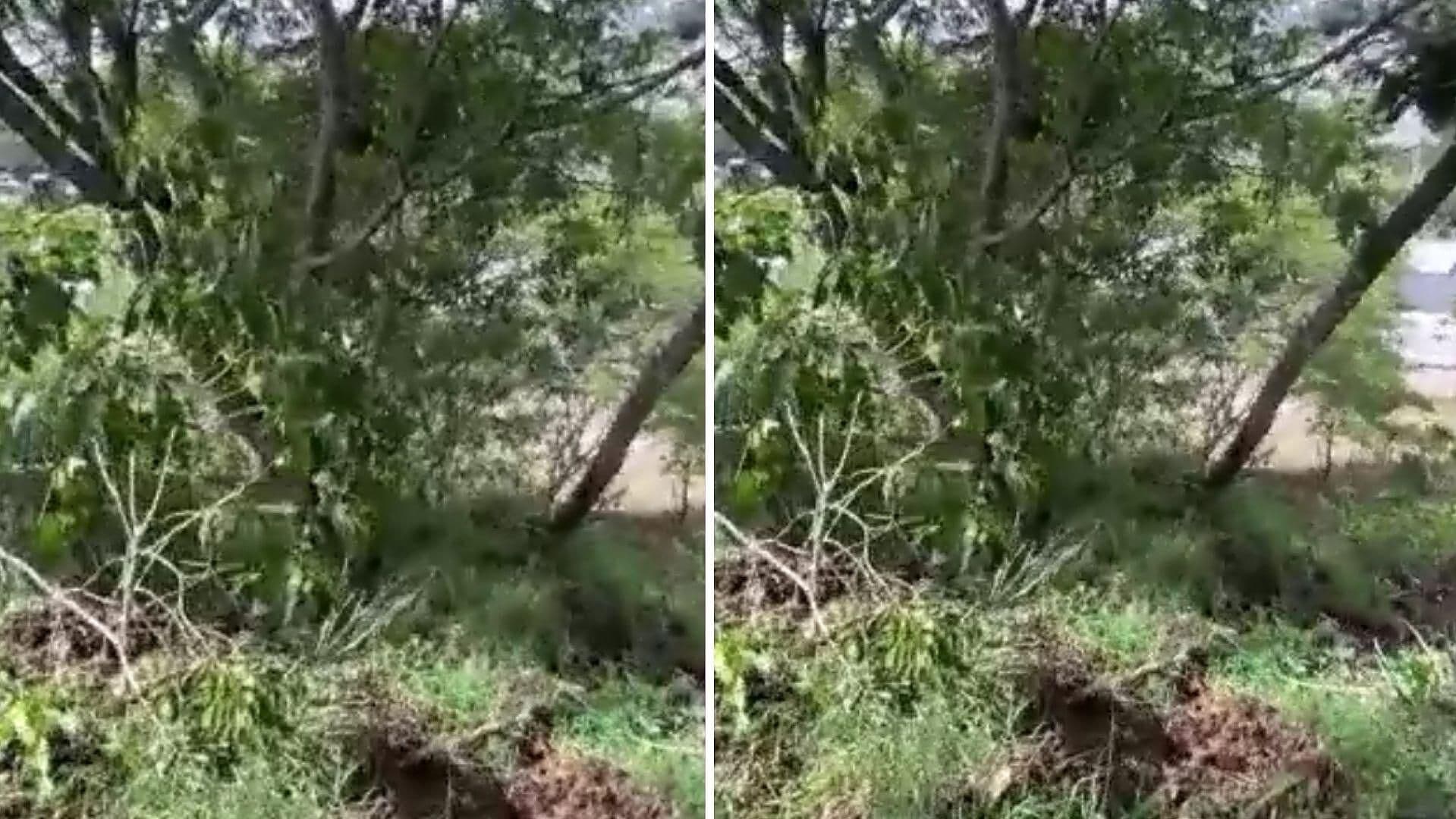 Riesgo de Viviendas por Posible Deslave en Lomas Verdes, Xalapa