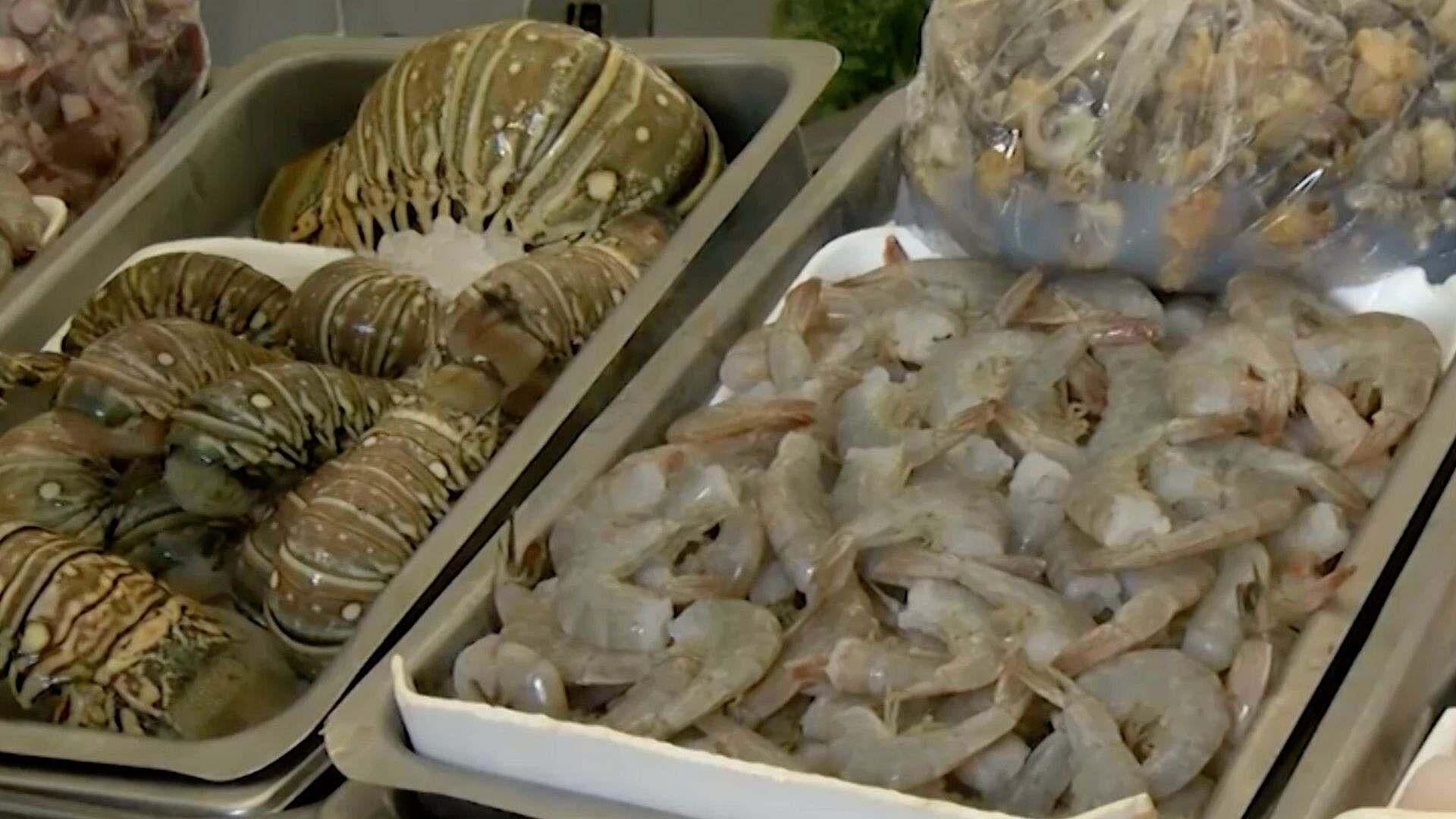 Comerciantes de Mariscos Denuncian Aumento de Venta de Pesca Ilegal en Progreso